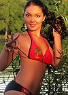 ������� �����������